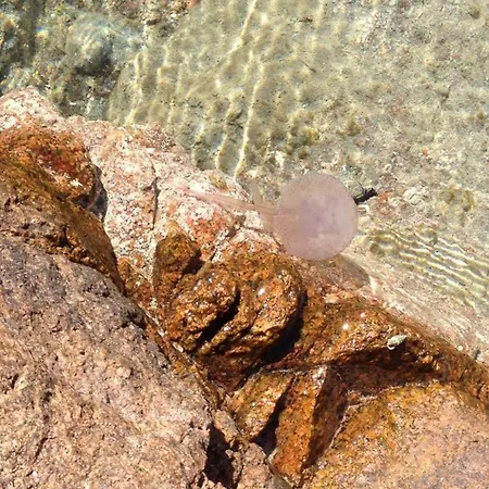 Sardegna Per Sei Valledoria (Sardinia)