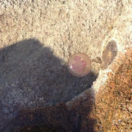 아파트 Sardegna Per Sei *